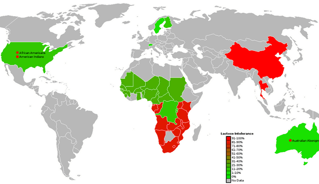 cafesano-lactose-intolerance-map